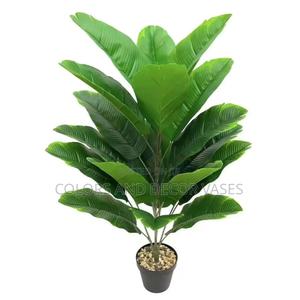 Banana Plant Alone KSH 1000, 70cm - thumbnail 2