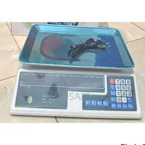 Acs 40kg Armless Digital Computing Scale