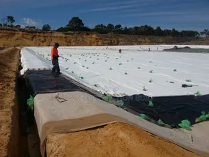Gotextile Geo-Fabric Membrane