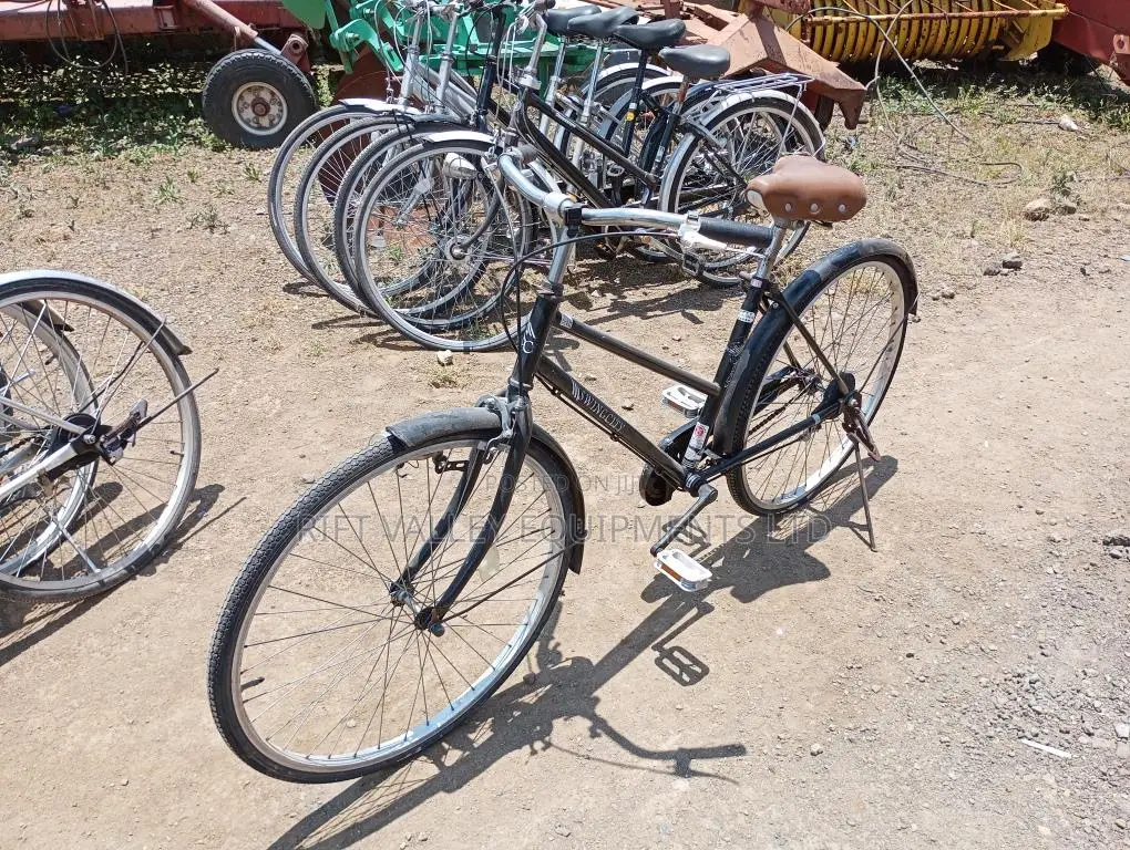 Size 24 Diora Ex Japan Bicycle