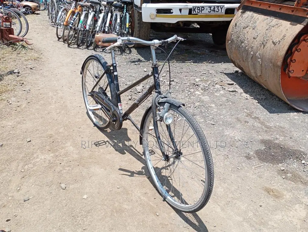 Size 24 Diora Ex Japan Bicycle