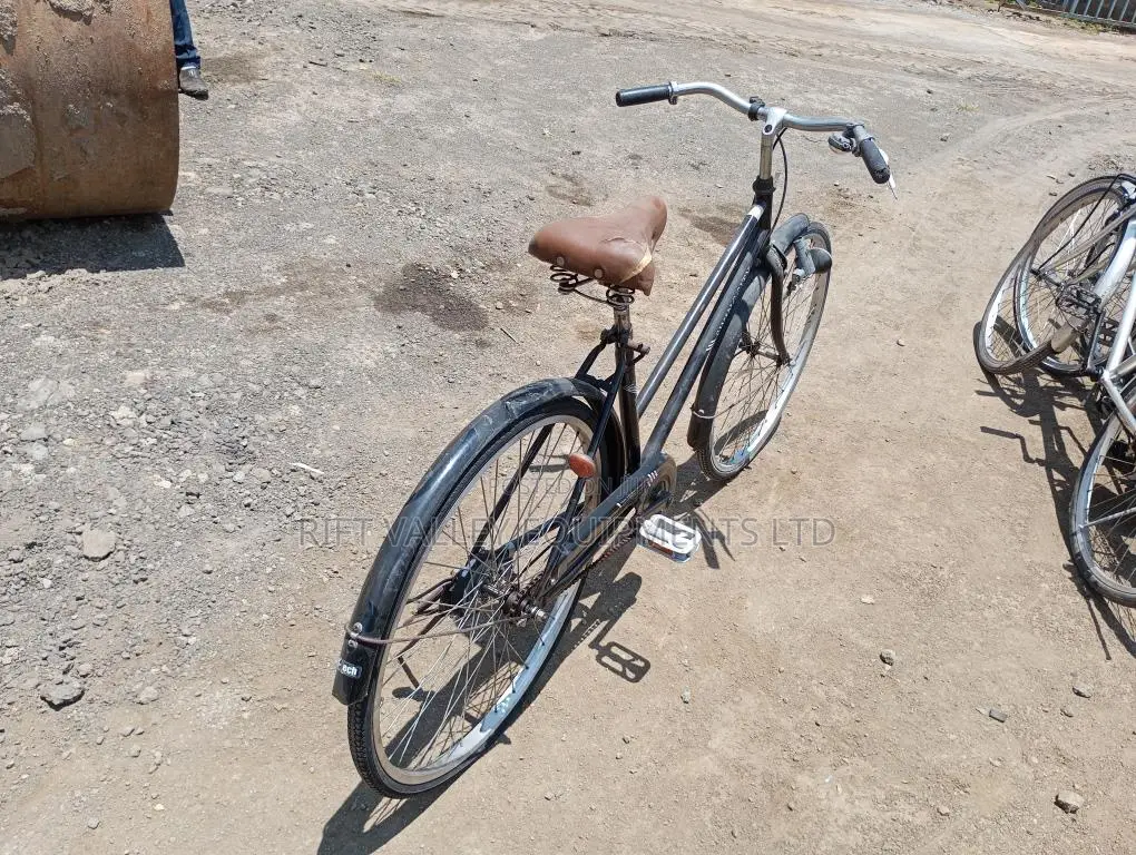 Size 24 Diora Ex Japan Bicycle