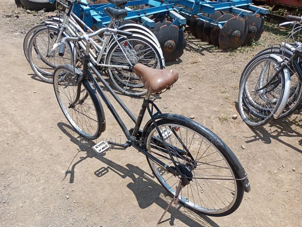 Size 24 Diora Ex Japan Bicycle