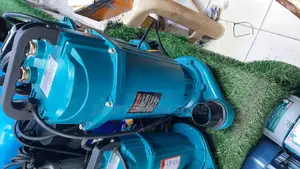 Premier 3hp Submersible Water Pump