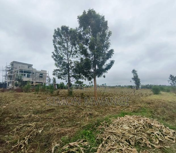 40*80 Plot on Sale at Anmer Estate Kiambu at 1.7M - thumbnail 3