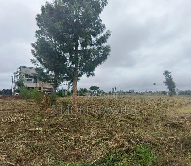 40*80 Plot on Sale at Anmer Estate Kiambu at 1.7M - thumbnail 4