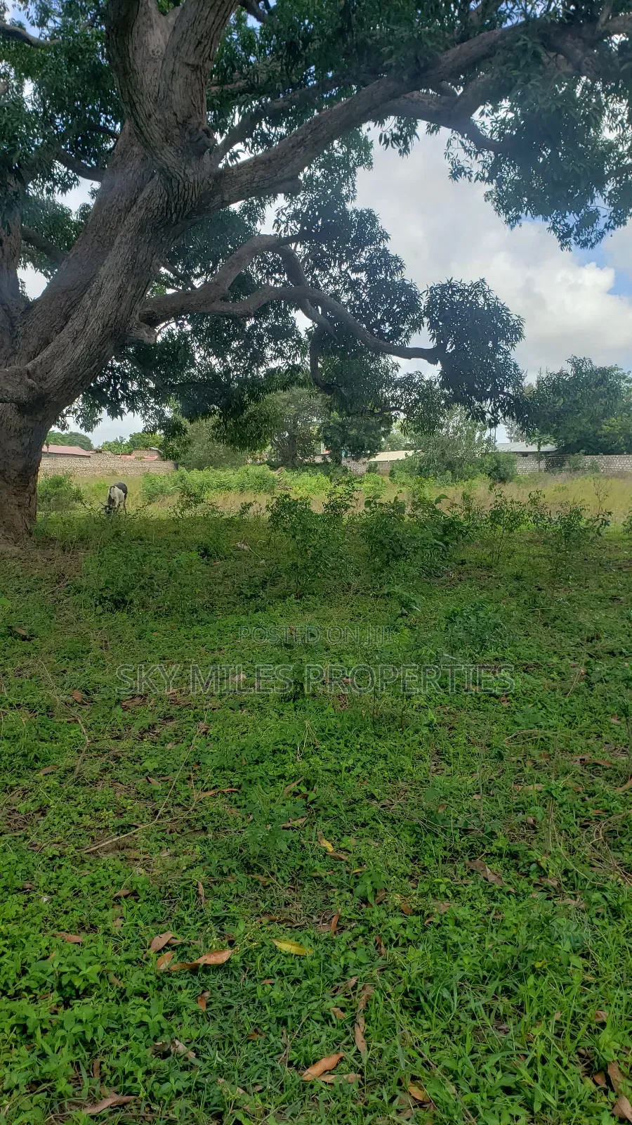 Mavueni Junction, 5 Acres Touching the Highway for Sale