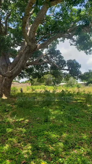 Mavueni Junction, 5 Acres Touching the Highway for Sale