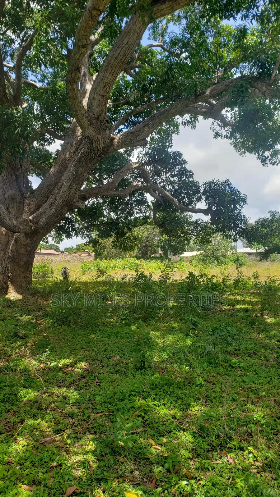 Mavueni Junction, 5 Acres Touching the Highway for Sale