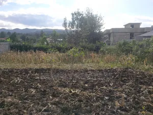 Residential Quarter Acre Plot in Ngong, Ol Keri Near Tarmac