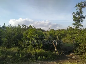 Quarter Acre Plot in Ngong, Olkeri 100 Meters From Tarmac