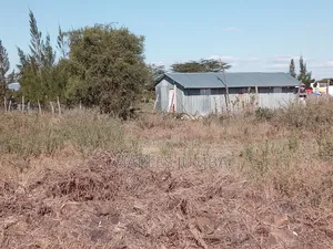 50*100 Plots Behind East Africa University