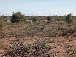50*100 Plots Behind East Africa University