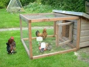 The Roost Ranch - thumbnail 2