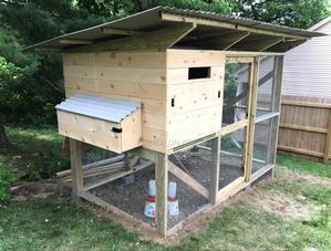 Hen Nest Oasis - thumbnail 2