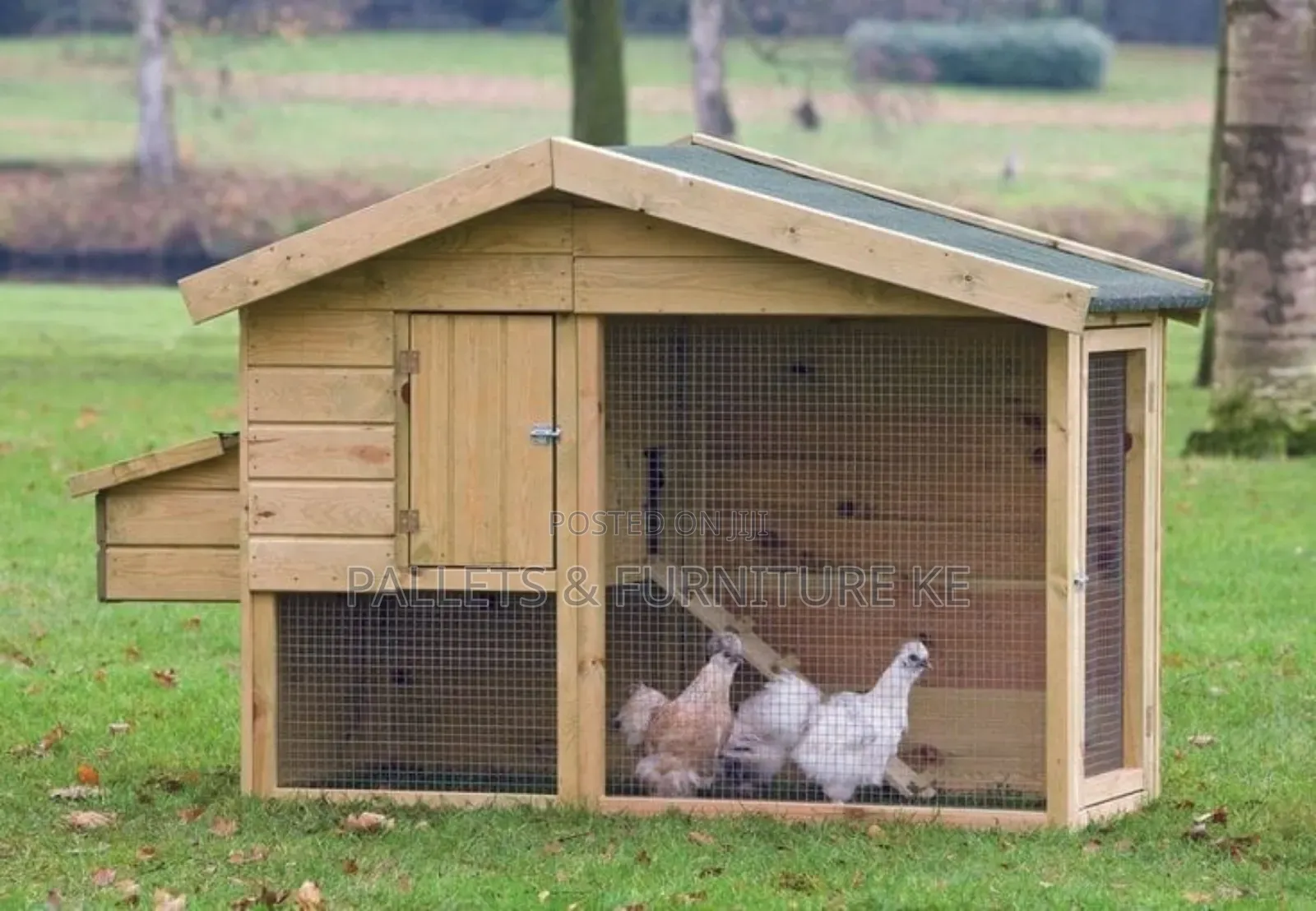 Feathered Friends Coop577