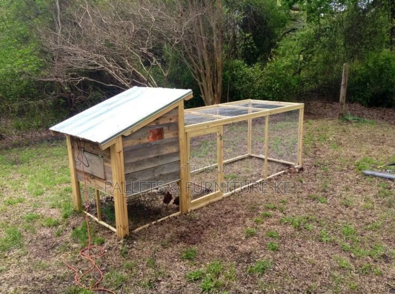 Fowl Freedom