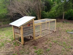 Fowl Freedom