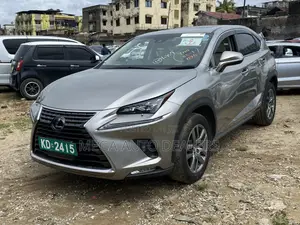 Lexus NX 300h Base 4x4 (2.5L 4cyl 2A) 2018 Silver