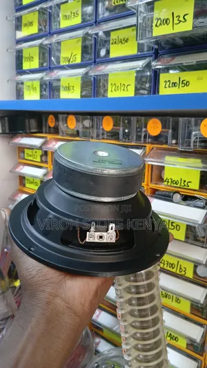 4 Ohms 80 Watts Base Speaker 6 Inches Bass Speaker