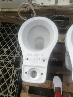 P Trap Toilet