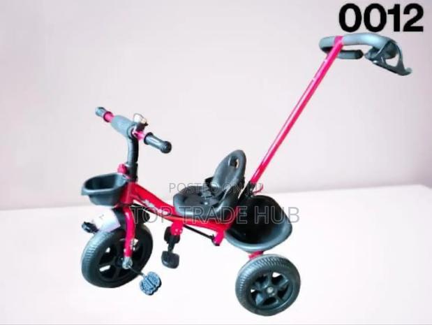Kids Tricycle Bike - main view