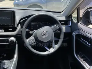 Toyota RAV4 2019 Gray