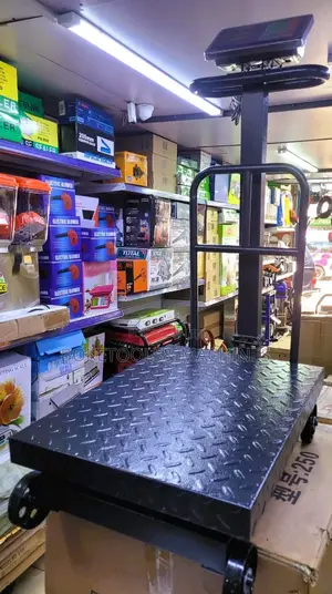 TCS Scale Big Base 600kg