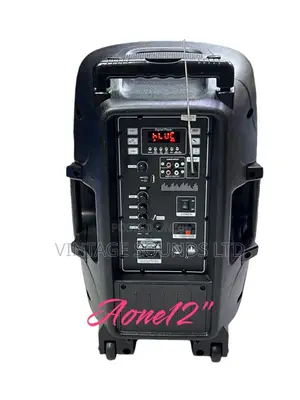 Aone 12” Trolley Speaker W/ USB Bluetooth Karaoke Microphone