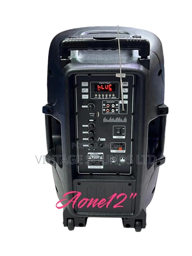 Aone 12” Trolley Speaker W/ USB Bluetooth Karaoke Microphone - thumbnail 3