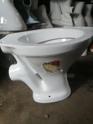 P Traps Toilet Seat