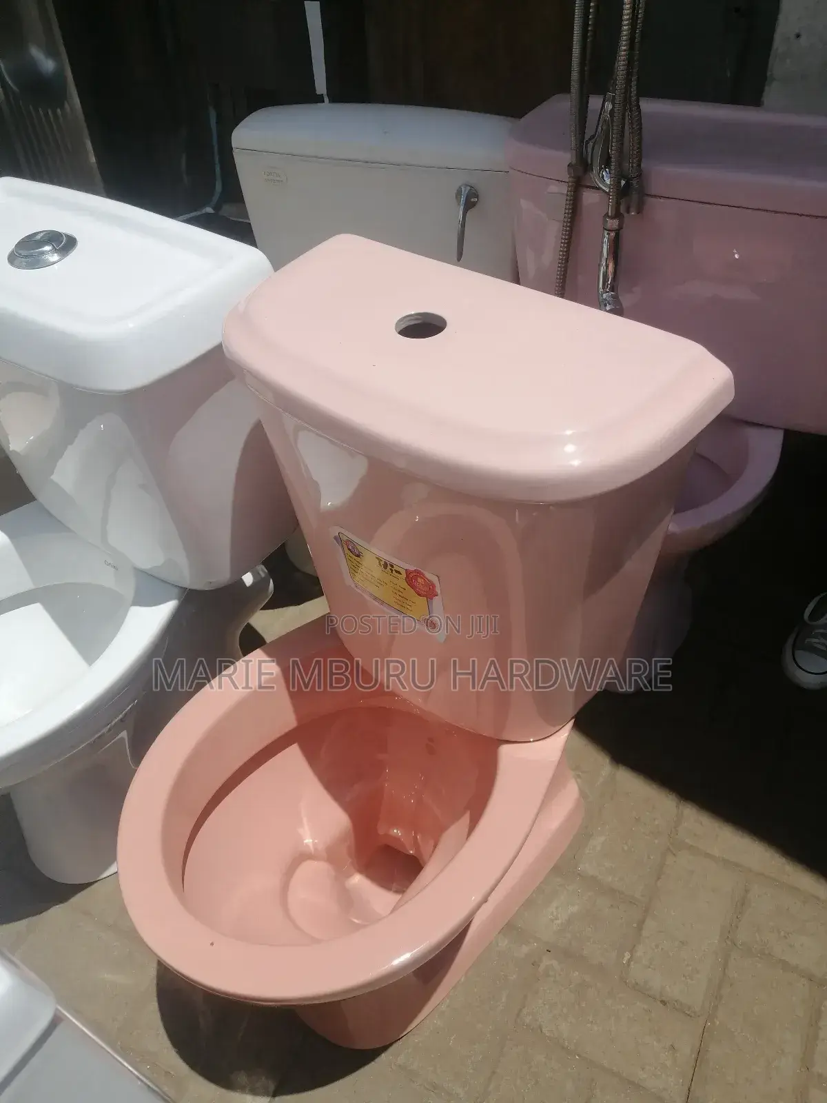 Orient Pink Toilet