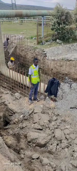 In Search of Job