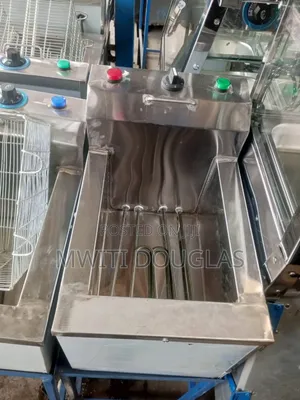 Palatial Single Unit Chips Fryer