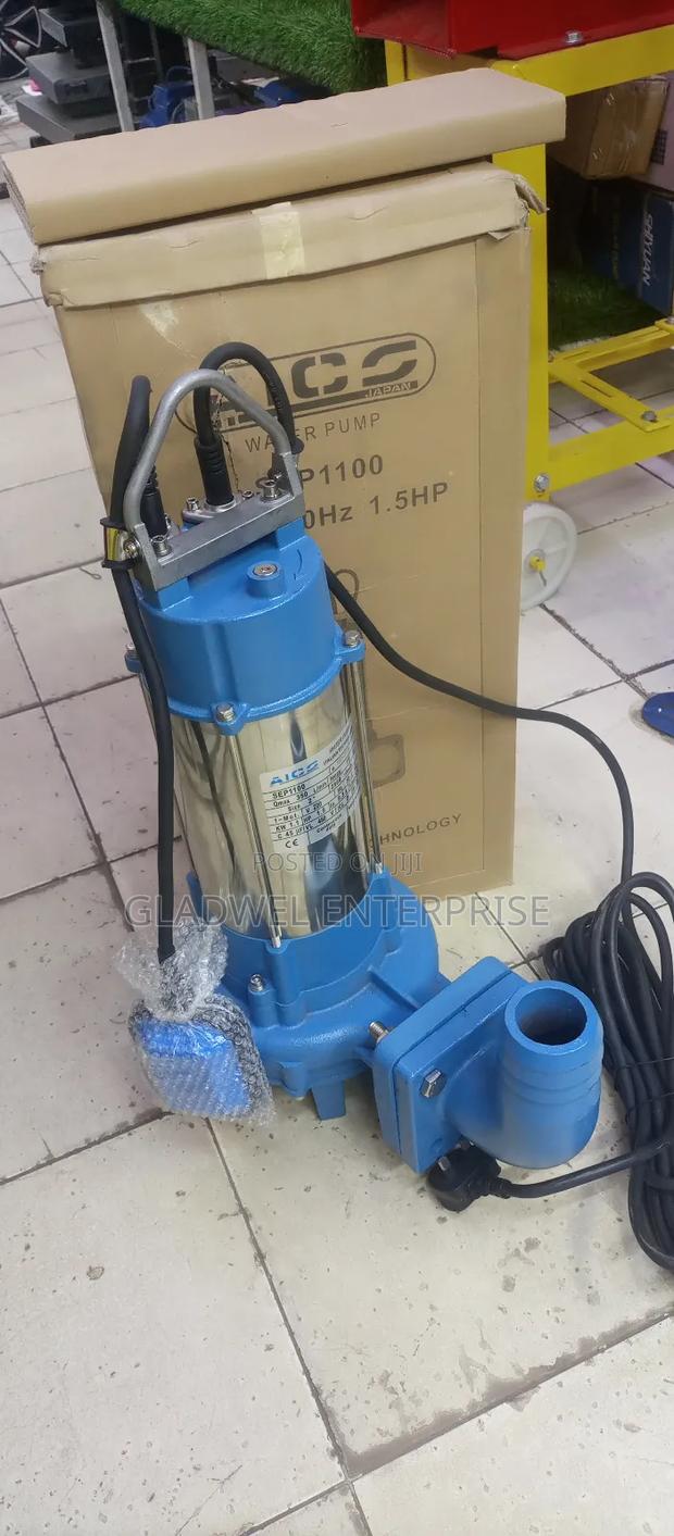 Sewage Pump - main view