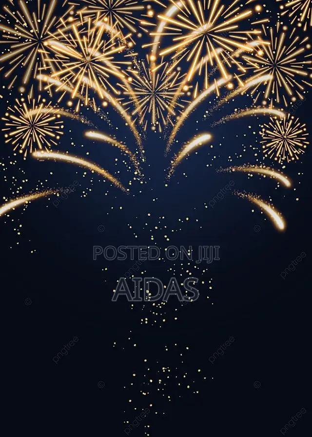 9 Shots Champ Fireworks
