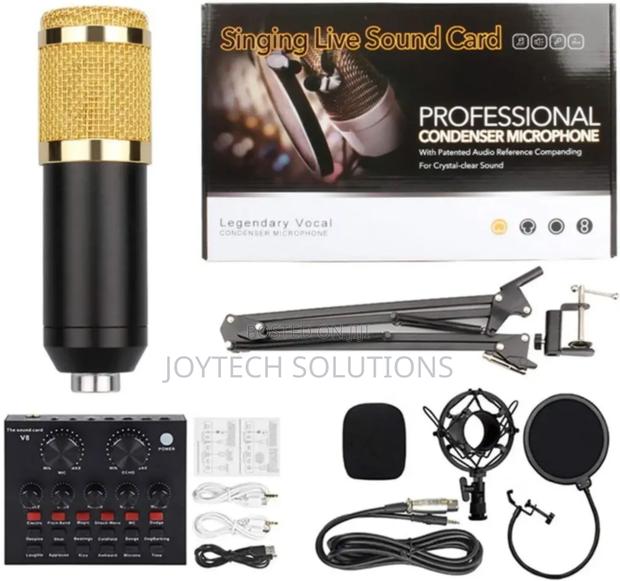 Singing Live Sound Card With Microphone Bm800
