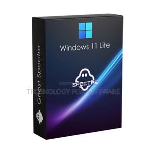 Windows 11 Pro Lite - main view