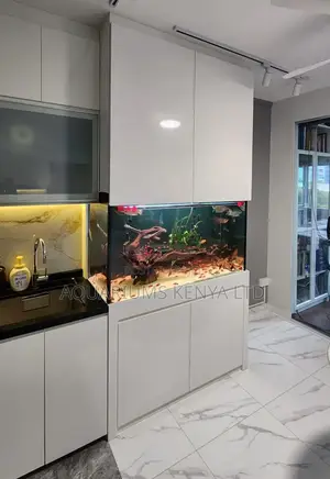 Aquarium Design Ideas