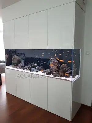 Beautiful Indoor Aquarium , Big Aquarium