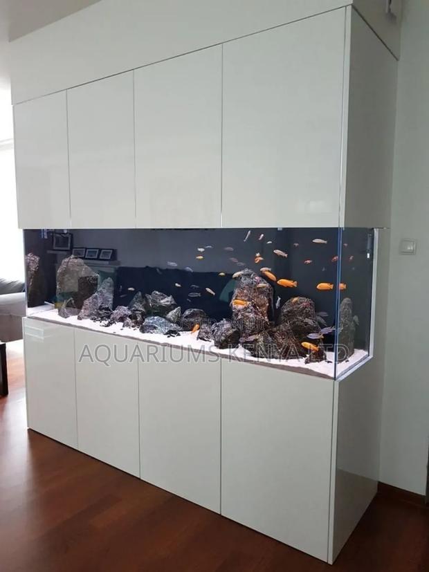 Beautiful Indoor Aquarium , Big Aquarium - main view