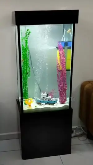 Aquarium in House