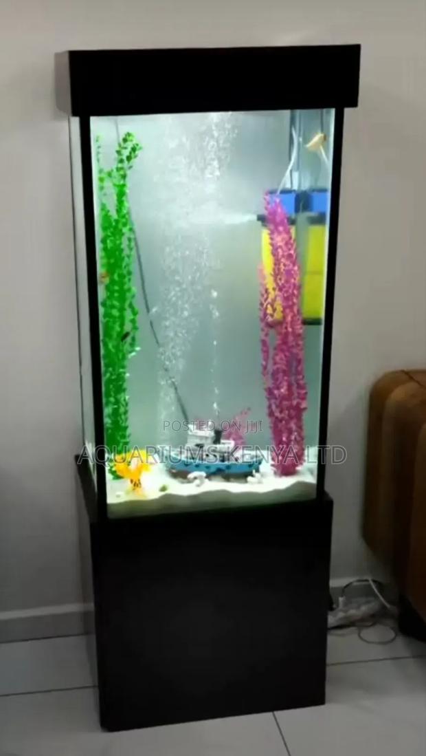 Aquarium in House - main view