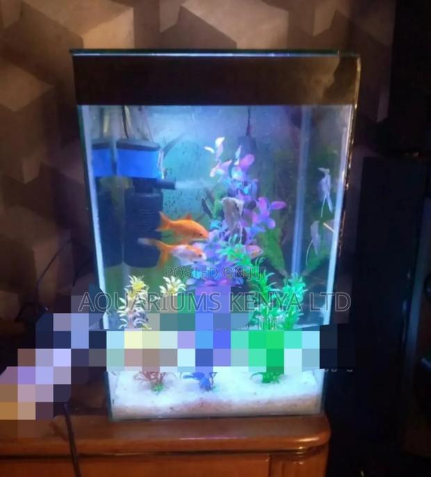 Mini Aquarium - main view