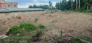 1⁄4 Plot With Some Rentals for Sale in Annex Eldoret