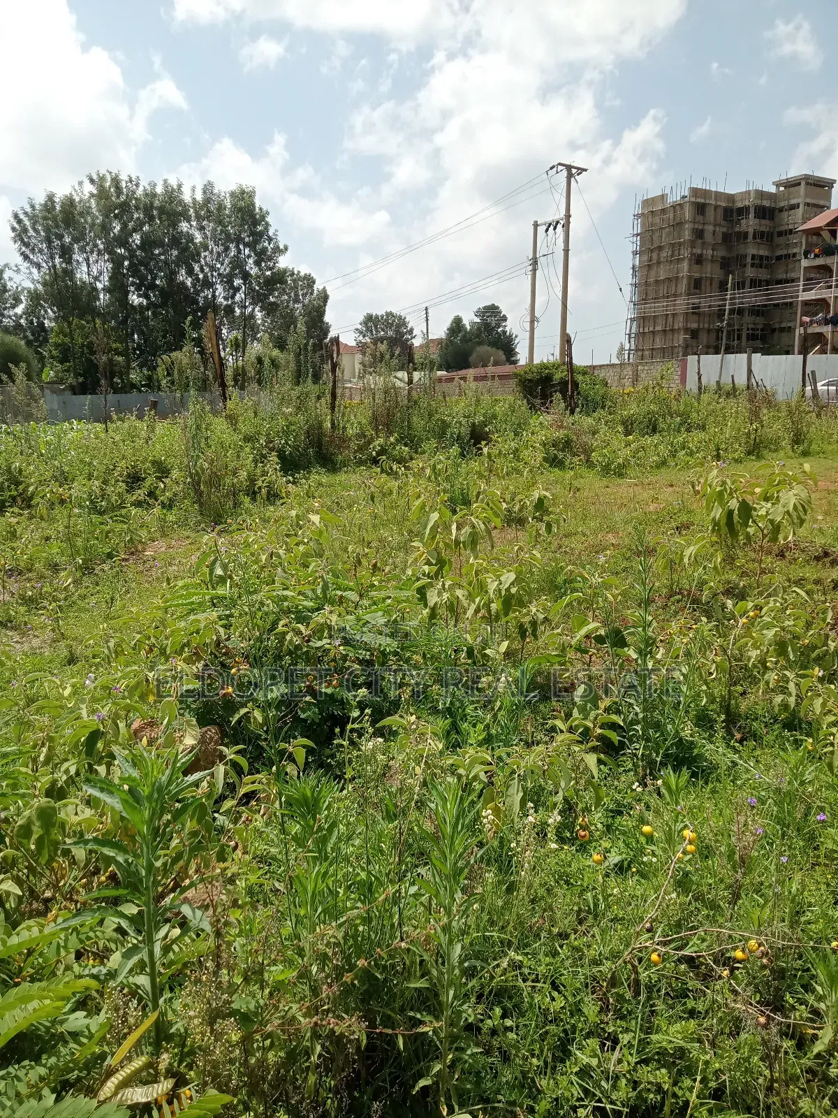 1/4 PLOT Annex With Title