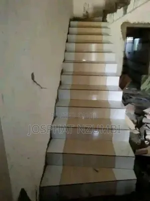 Tiles Professional (Fundi Wa Tiles)