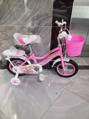 Lady Bird Kids Bike 12