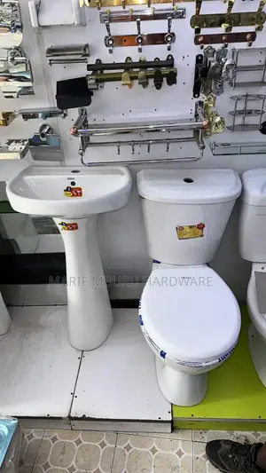 White Orient Toilet