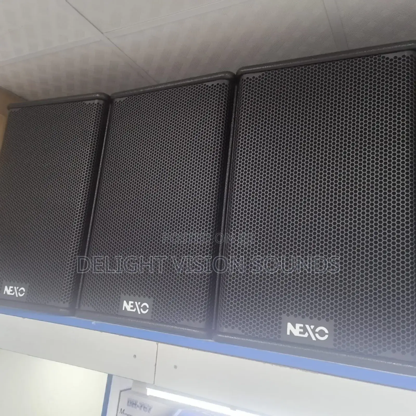 Nexo Speaker 10"
